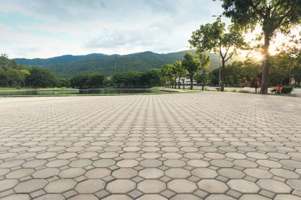Best Best Driveway Pavers  in Riverside, MD